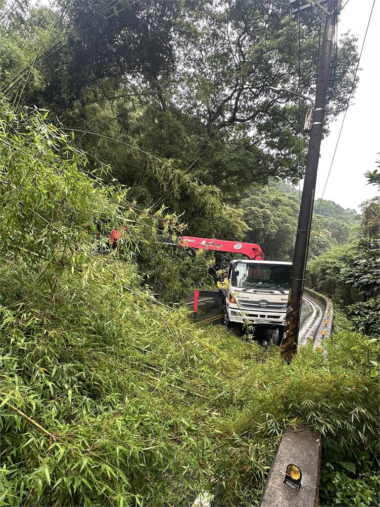 龜山路樹倒塌造成交通中斷 員警設立管制提醒改道