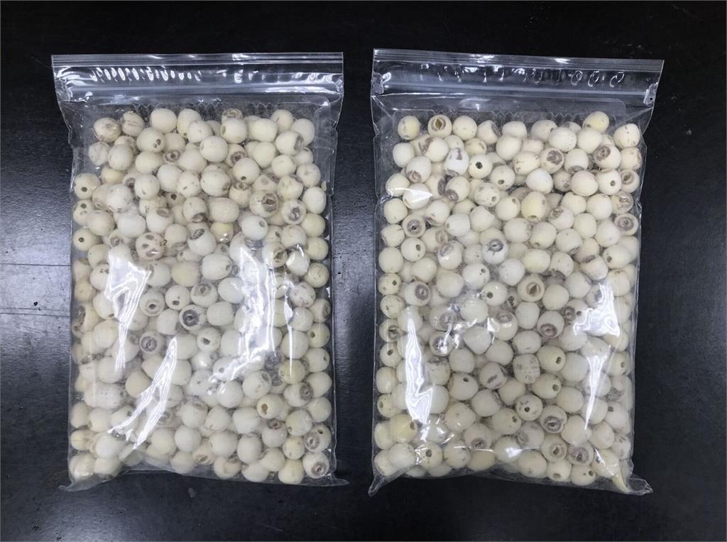 流動攤販滿街銷售「中國蓮子」含毒！   食藥署驗出黃麴毒素超標