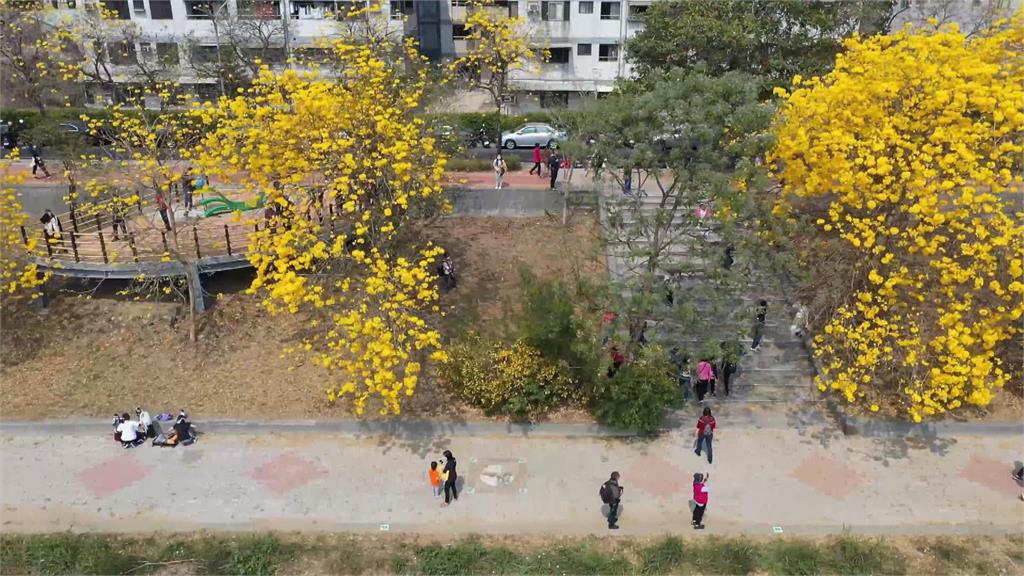 嘉義潮風鈴•野餐音樂市集 歌手、樂團輪番登台