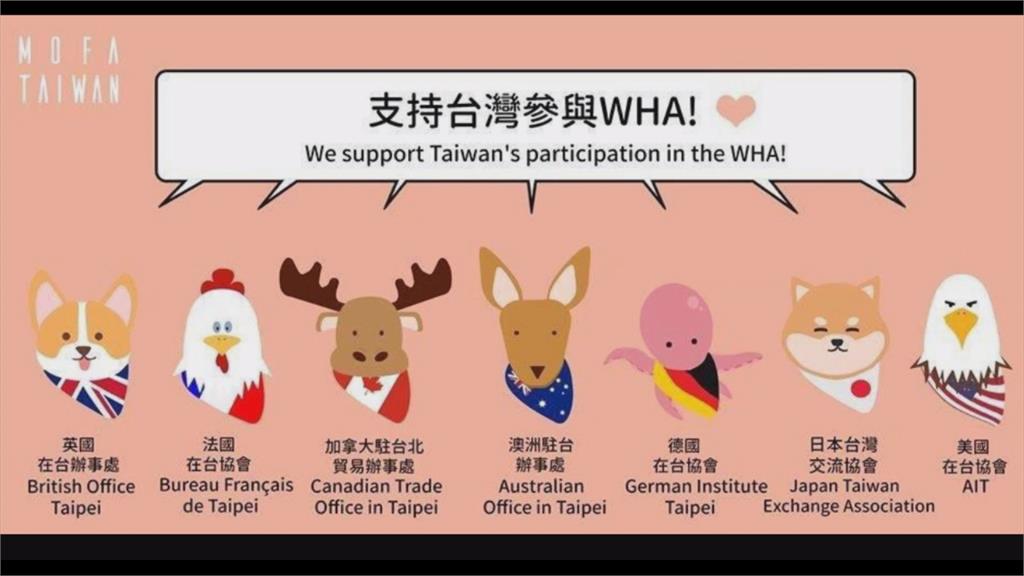 多國力挺台灣重回WHA！外交部小編繪動物貼圖表感謝
