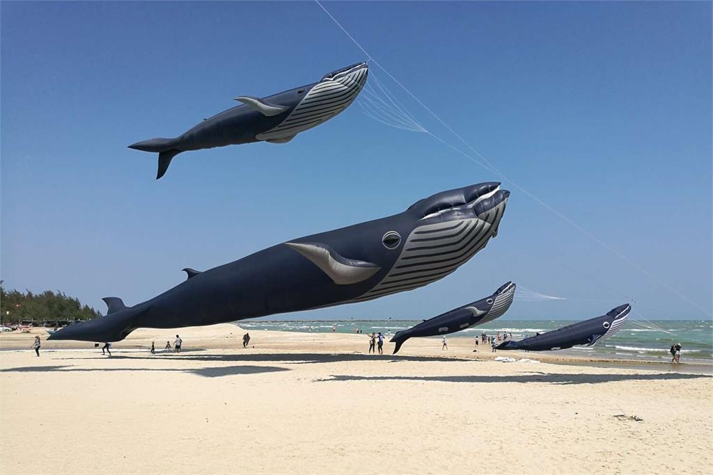 快新聞／新竹風箏節9月2日、3日登場　全球最大「鯨魚風箏」等你看