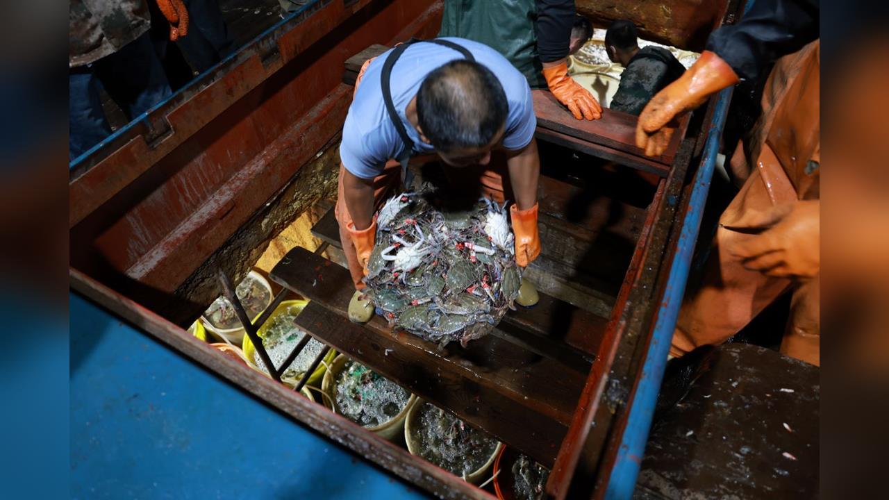 中國漁船越界捕撈　南韓海警強硬驅逐91艘、查扣1艘