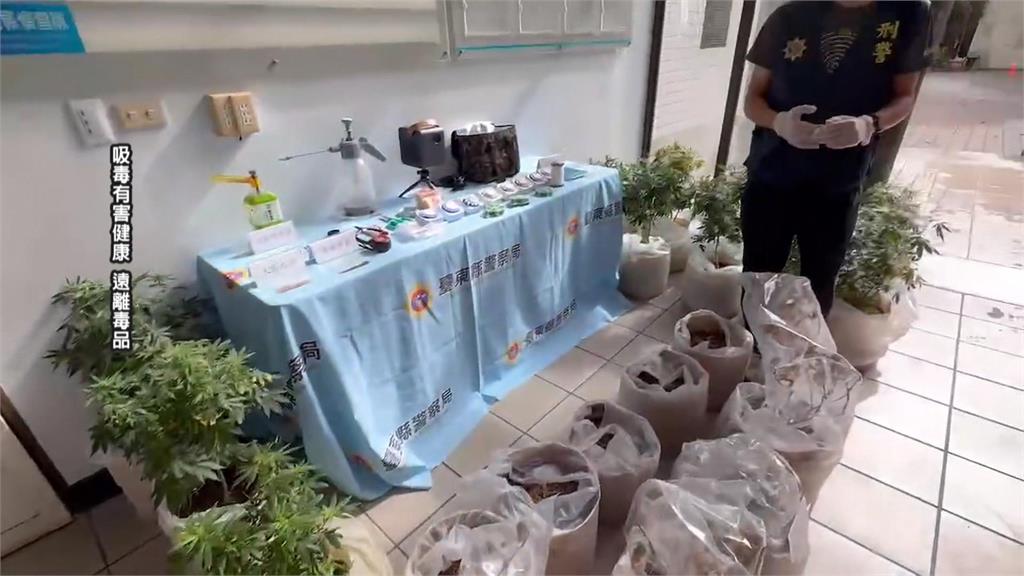 以為夠偏僻、警力有限！販毒集團綠島設大麻栽種場仍被逮