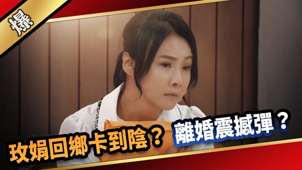 《愛的榮耀-EP14精采片段》玫娟回鄉卡到陰？ 離婚震撼彈？   