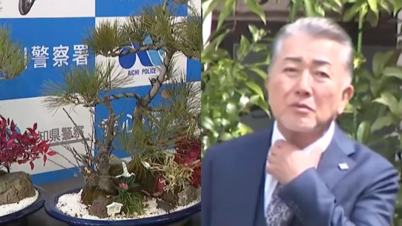 山口組大佬賣盆栽被捕！警抓包「變相收保護費」勒索八旬翁手法曝光