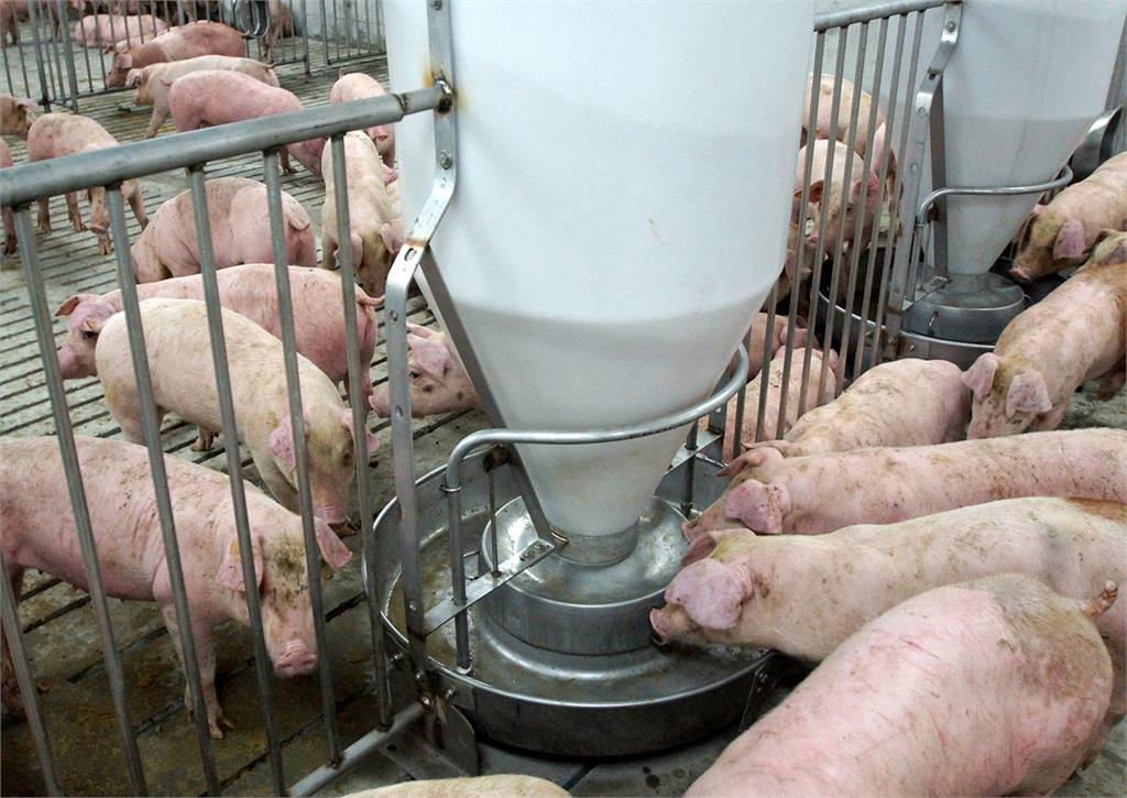 執政挑戰加一!宜蘭肉品市場周休4日 中秋節烤肉恐傷荷包