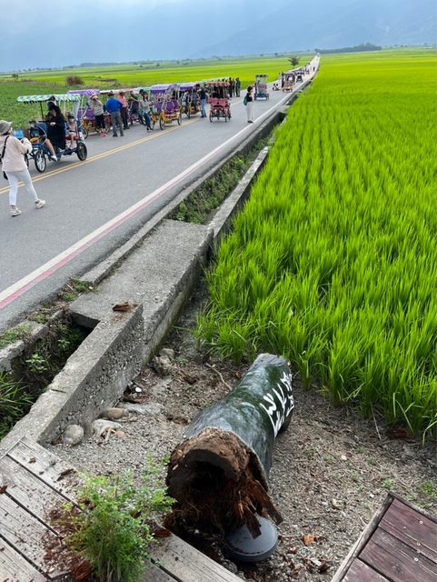 快新聞／台東池上6.8地震　伯朗大道入口路牌倒塌