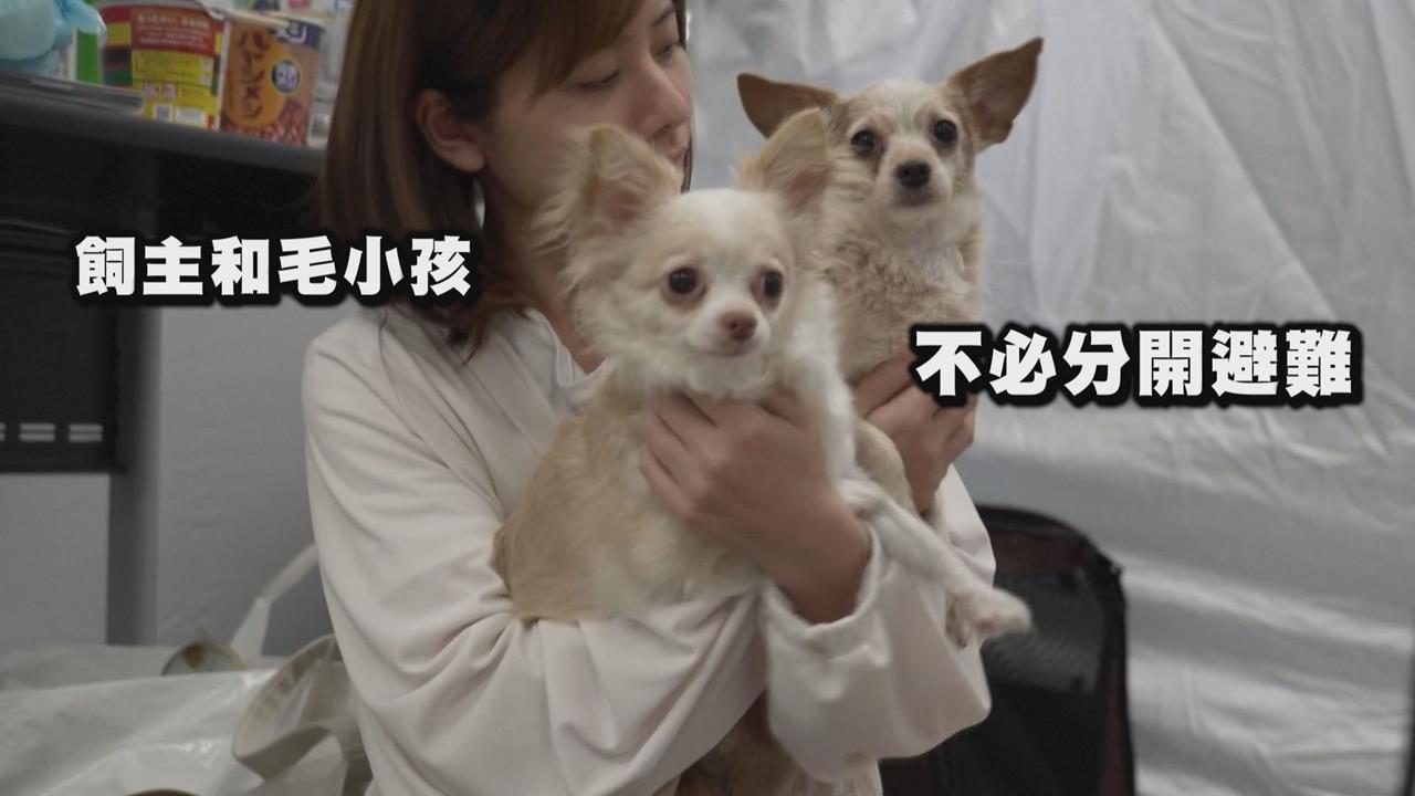 熊本災民攜愛犬避難遭拒收　動物醫院開放寵物收容超暖心