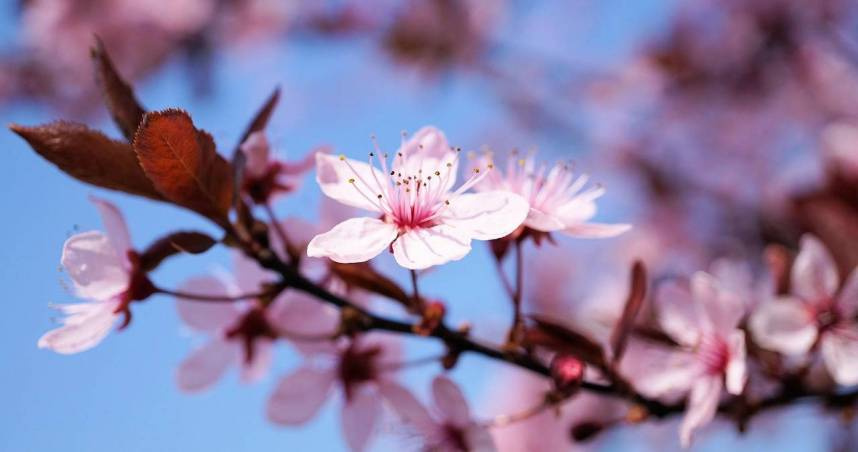 2026第一波水逆來了!12星座本周運勢出爐 獅子職場避免太強勢