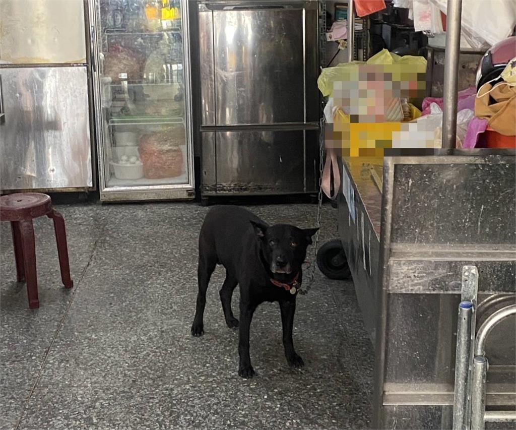 台中衰男騎車被狗咬！對飼主怒吼「走哪是我權利」遭嗆：牠怎麼咬你也是自由