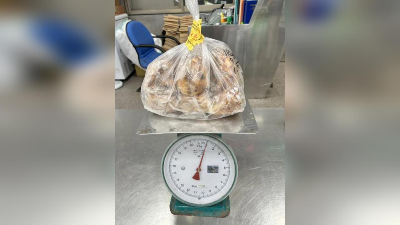 快新聞／行李偷藏6肉鬆麵包被抓！　中客辯「可現場吃掉」拒繳20萬、遭遣返出境
