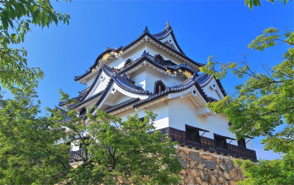 雨中作樂！福井勝山義消接力賽開跑　民眾把握東京櫻花季尾聲撐傘賞櫻