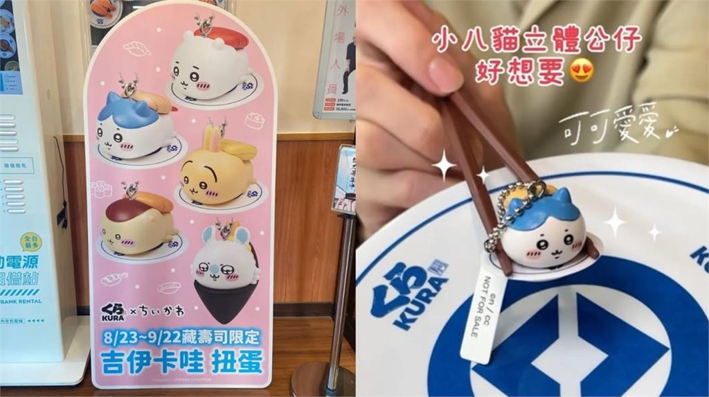  全台掀「吉伊卡哇藏壽司之亂」！熱門關鍵字驚現「代吃、外帶」　原因揭曉 