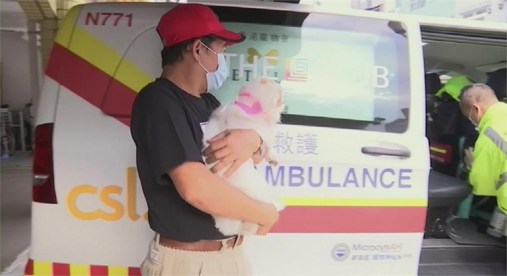 香港寵物救護隊 爭取毛小孩黃金治療時間