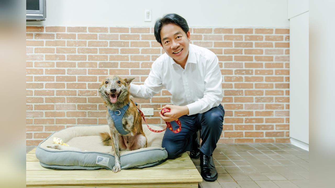 陳佩琪扯賴清德愛犬嗆「殘障三腳狗」！全網氣炸：攻擊一隻狗到底有什麼毛病？