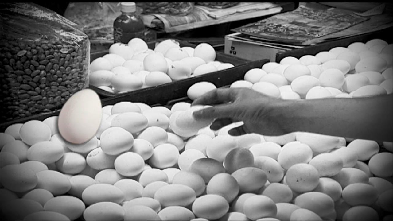 毒蛋怎麼來？　蛋農揭市售95%蛋都是「籠飼蛋」成關鍵