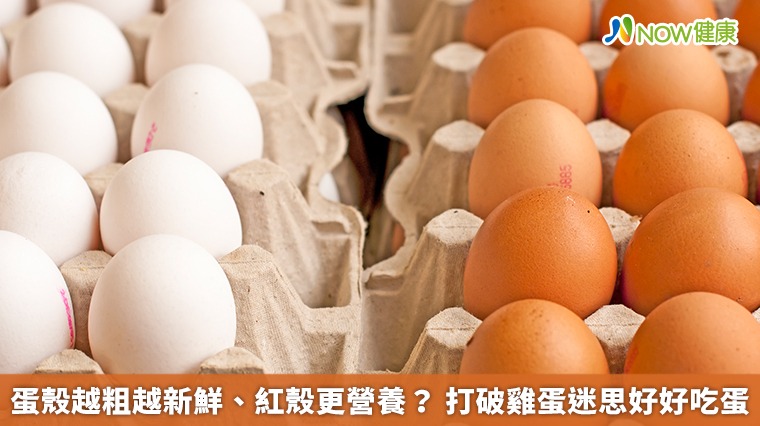 蛋殼越粗越新鮮、紅殼更營養？打破雞蛋迷思好好吃蛋