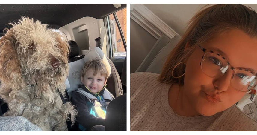 她零下6度暴風雪救流浪狗遭起訴！　善心女子吃上官司：訴訟費壓得喘不過氣