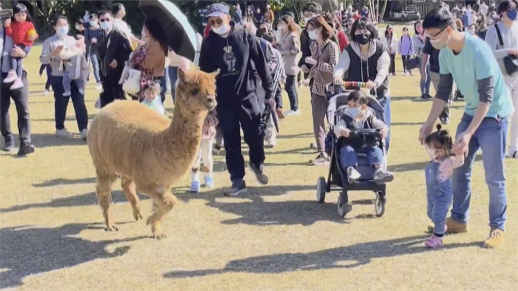 元旦連假去哪玩！　這些地方有跨年優惠