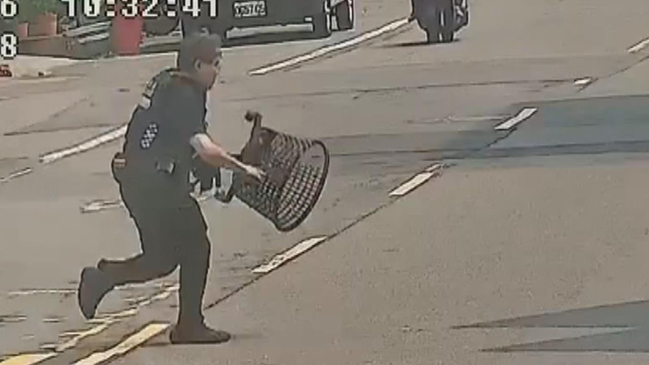 高雄調皮紅貴賓路上亂竄　警方持塑膠籃飛撲成功抓捕