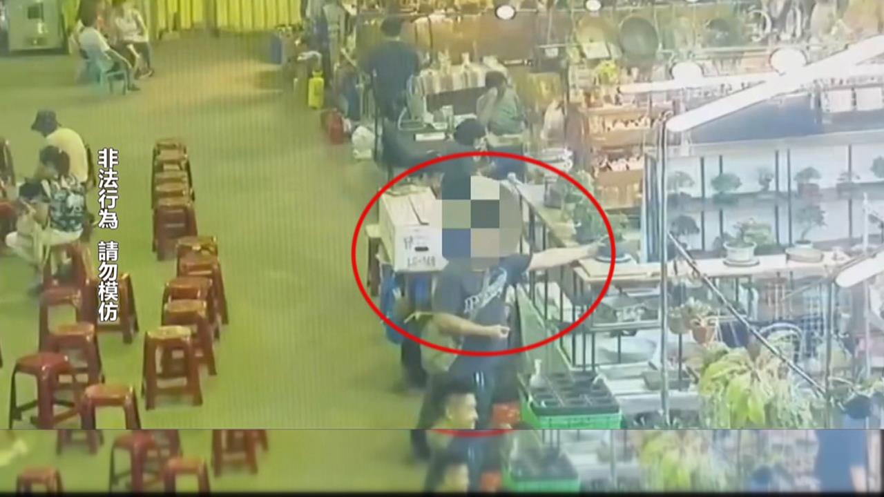 建國花市出現"盜花賊"! 店家1.8萬元海刺柑盆栽遭竊