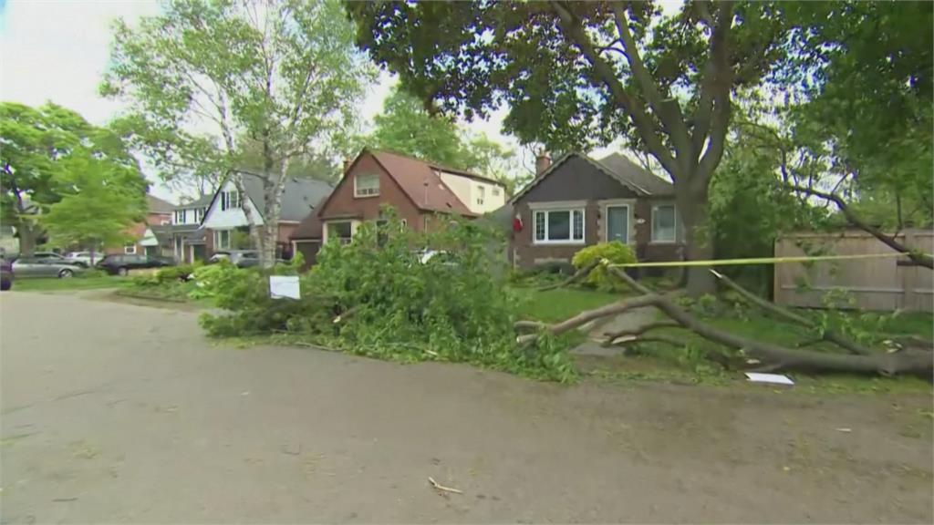 暴風雨橫掃加拿大　近90萬用戶斷電、釀至少9死