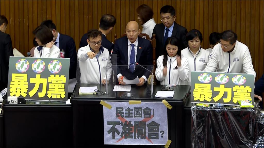 國民黨強闖三法恐衝擊社會 苗博雅憂立院成「憲政怪獸」