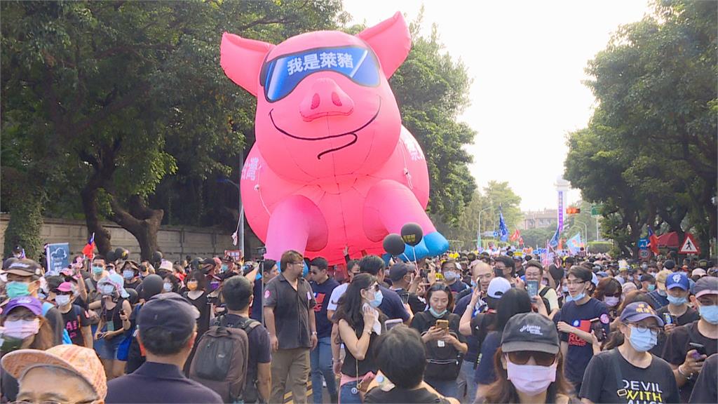 民進黨決戰四大公投各派系動起來　王美花：反萊豬公投會重傷台灣