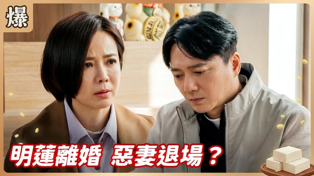 離婚以前妳愛理不理！離婚以後我讓妳高攀不起？《豆腐媽媽-EP59精彩片段》