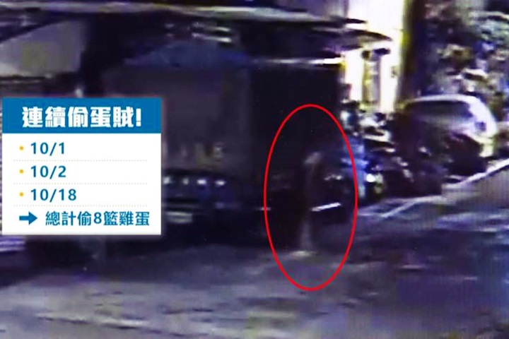 慣竊無業缺錢花用 竟偷上千顆雞蛋轉賣
