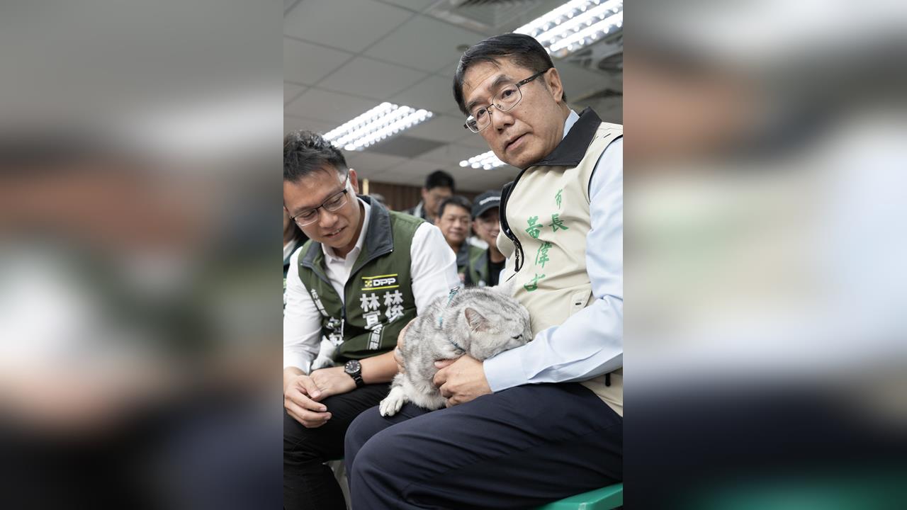 黃偉哲推家貓登記 台南登記率達96%超全國平均!