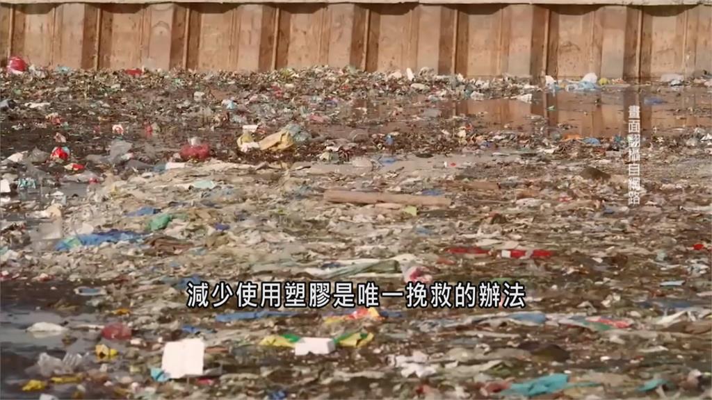 全球／塑膠垃圾難分解 流入海洋造成生態浩劫