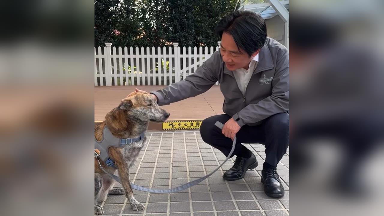 快新聞／賴清德不忍了？愛犬遭陳佩琪批「殘障三腳狗」　突曬斑斑影片畫面曝