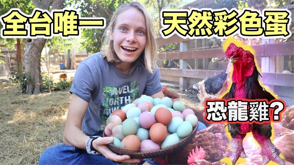 全球罕見「純天然彩色雞蛋」在台灣　俄國妹生食後大讚：3重風味好吃到爆