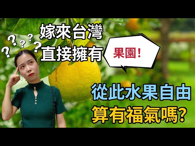 中國人妻開箱台灣公公果園　網指長輩1行為讚：妳是被疼愛的兒媳婦
