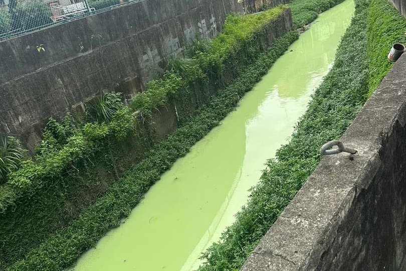 快新聞／噁！新北中和出現「抹茶色溪水」　環保局追汙染元兇