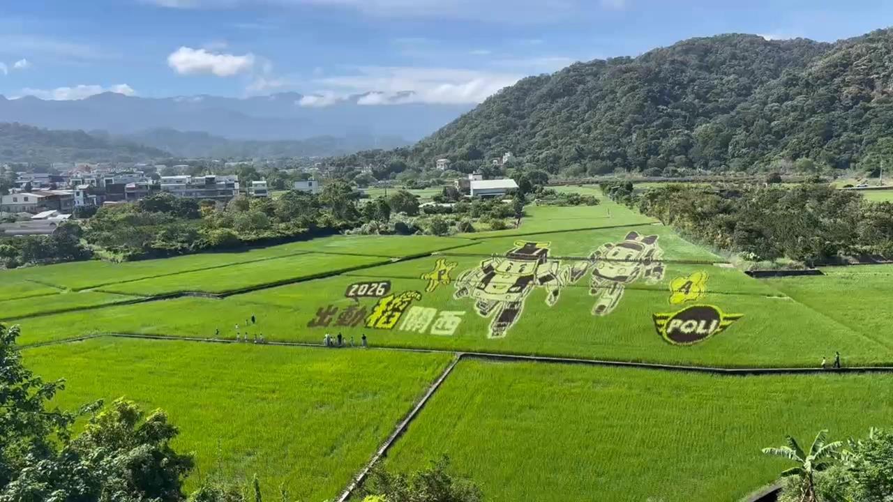 不一樣的田野樂趣！　救援小英雄波力新竹關西「彩繪稻田」萌登場