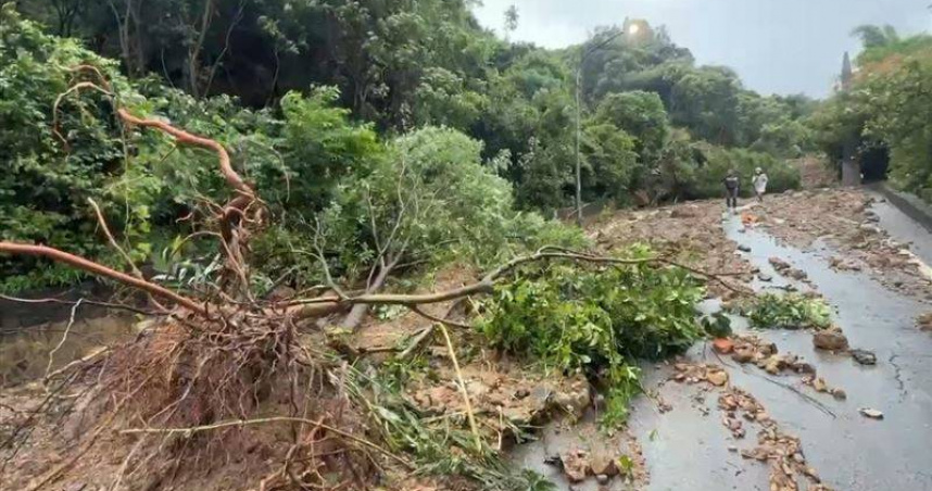 連日大雨!汐止老爺山莊大規模土石坍方 路樹倒塌聯外道路中斷