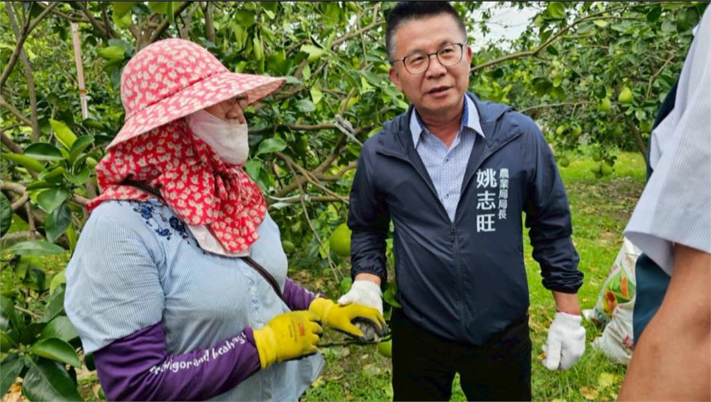 丹娜絲重創台南麻豆文旦　陳其邁指示高雄農業局協助救災