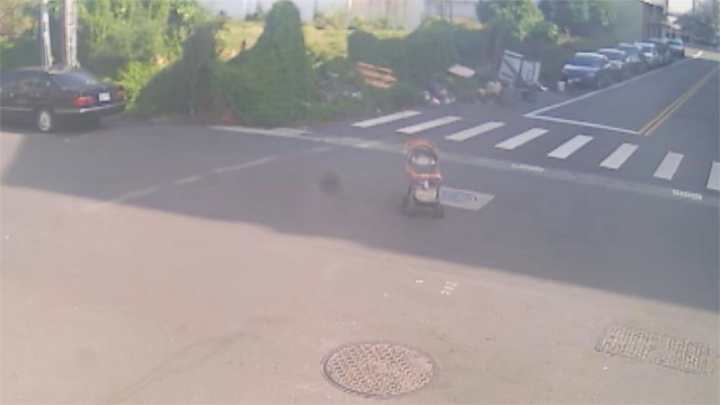 嬰兒車「自走」過馬路　原因曝光了
