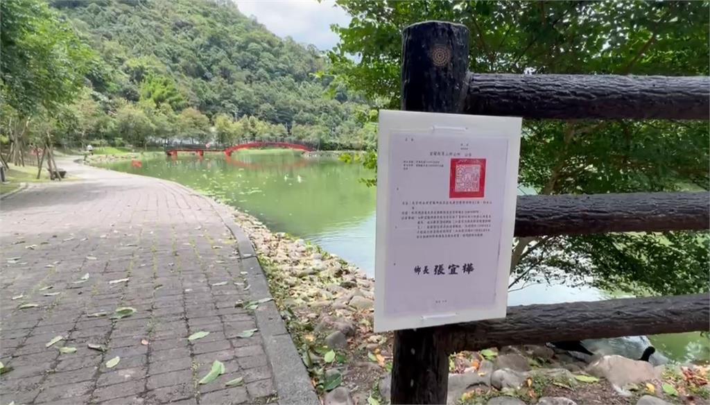 宜蘭望龍埤「鴨鴨軍團」隨地大號　鄉公所移置反應兩極
