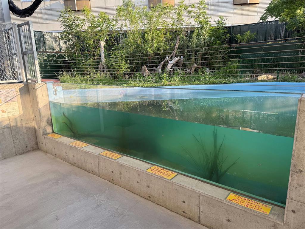 水族館玻璃「價值一棟房子」？日本館方「超浮誇告示」掀網熱議：不敢碰了