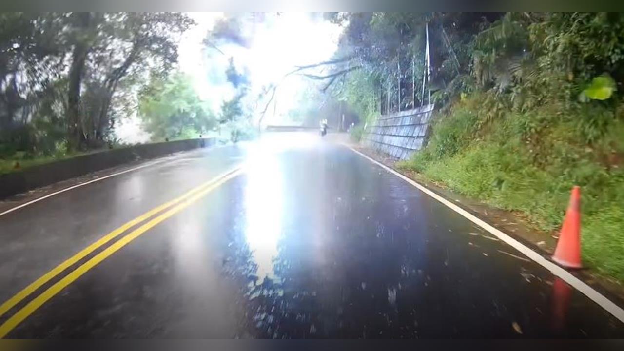 騎車騎一半驚見「藍色強光」!下一秒路樹倒...車主:以為被雷擊