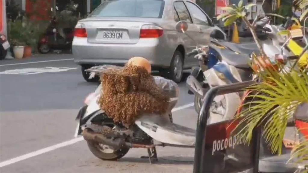 大批蜜蜂包圍機車　疑女王蜂迷路蜂群追隨