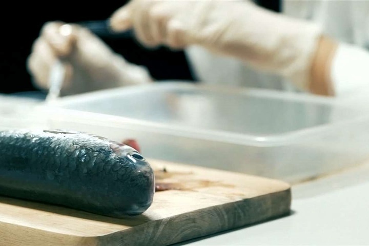 港六成野生烏頭魚含微膠 棄塑膠餐具成幫兇