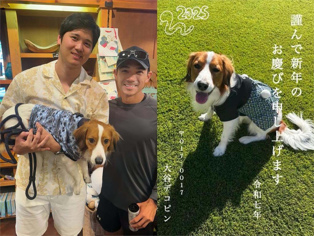 MLB／照片露餡！大谷翔平帶愛犬現身夏威夷　內行球迷驚訝這樣超級難