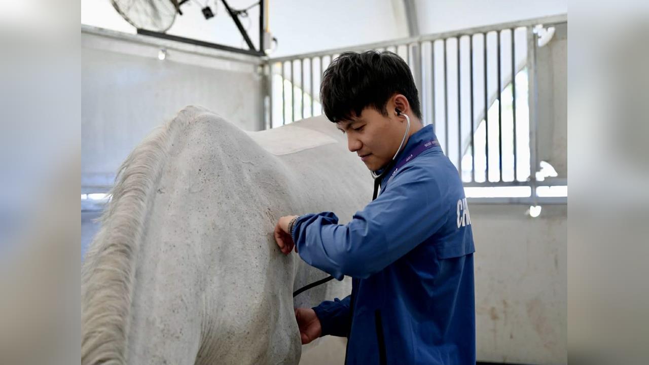 馬術(影)/從音符中蛻變的專業獸醫!台灣隊「核心人物」李曜年成選手最堅強後盾