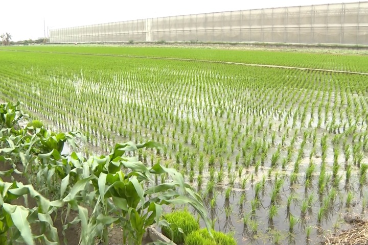 雲林推動畜牧廢水利用 成效全國第一