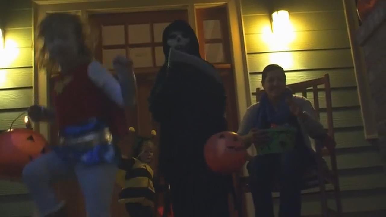 萬聖節「巧克力漲價」美國買氣不受影響　捷克動物園南瓜加菜