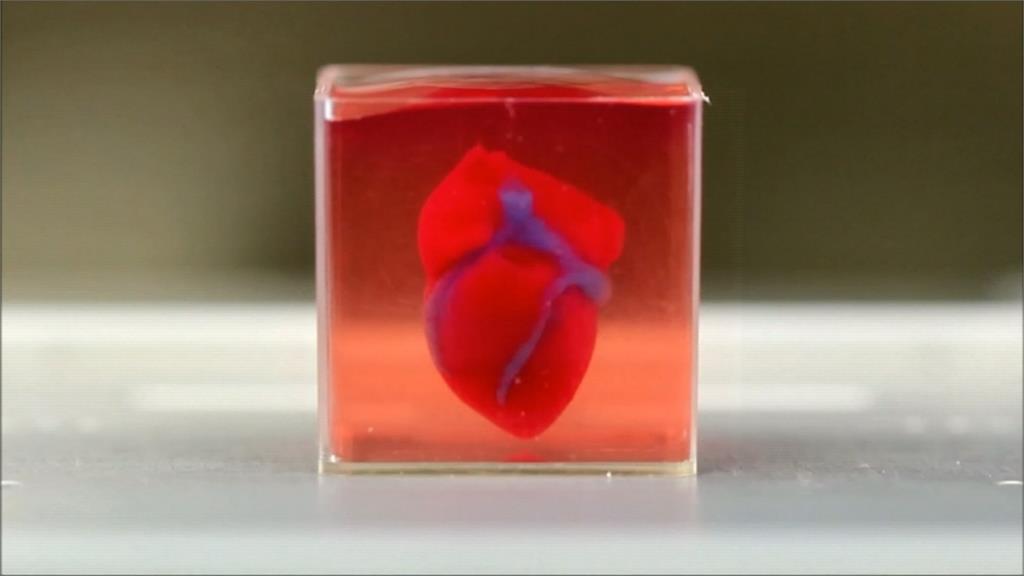以色列創首例 發表帶有血管3D列印人工心臟